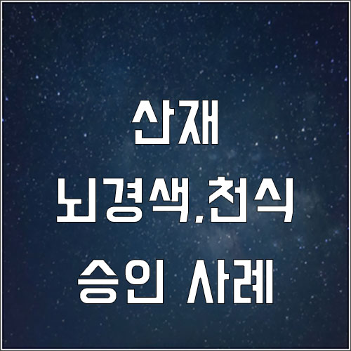  보트제작업체 근로자 뇌경색, 수근관증후군,척추분리증,천식 산재 승인사례