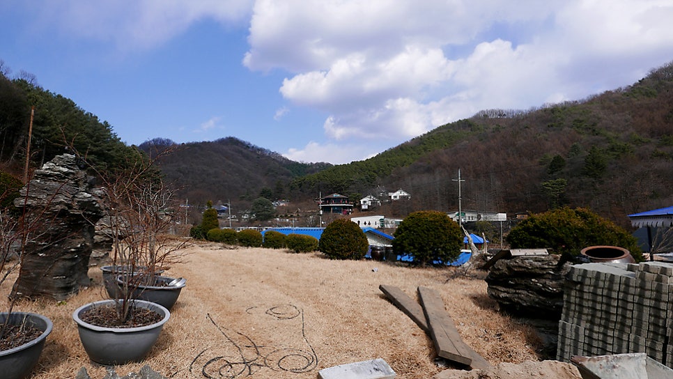 초리골황토펜션 사진 5