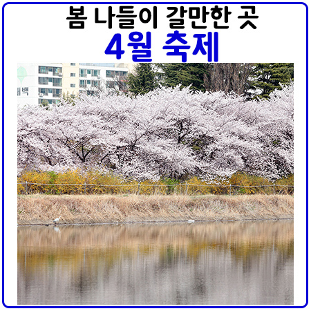 4월에 가볼한만 전국 꽃놀이 축제 베스트10