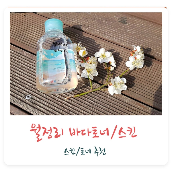  토너/스킨추천 제주바다를 담은 팩에이지 월정리바다