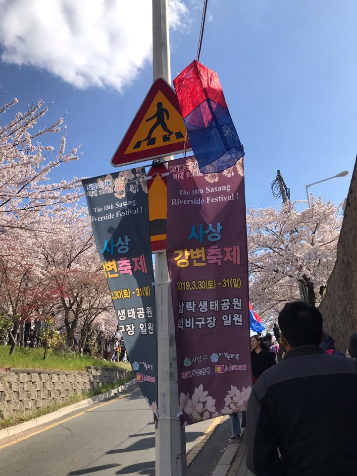  [ 사상 삼락공원 벚꽃축제 ] 아프리카bj 봉준님 , 감스트님 , 기훈님 봤어요!!!!!!
