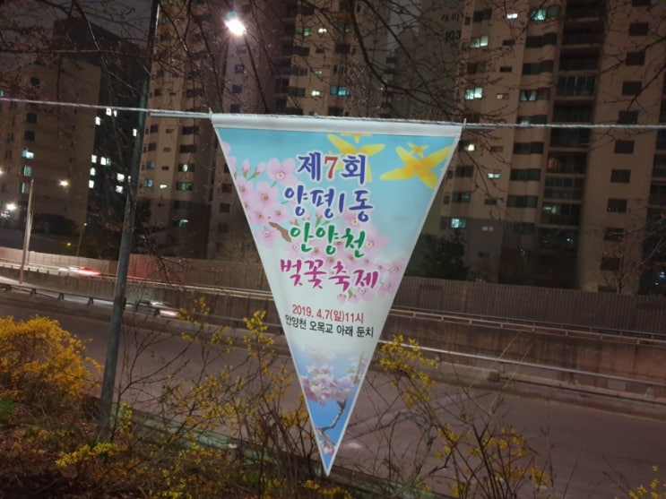  안양천 벚꽃축제 양평1동