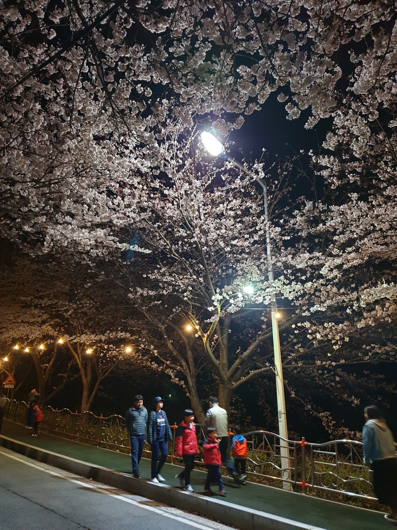 거제 거제대로 / 코팅 / 현대 / 그랜저