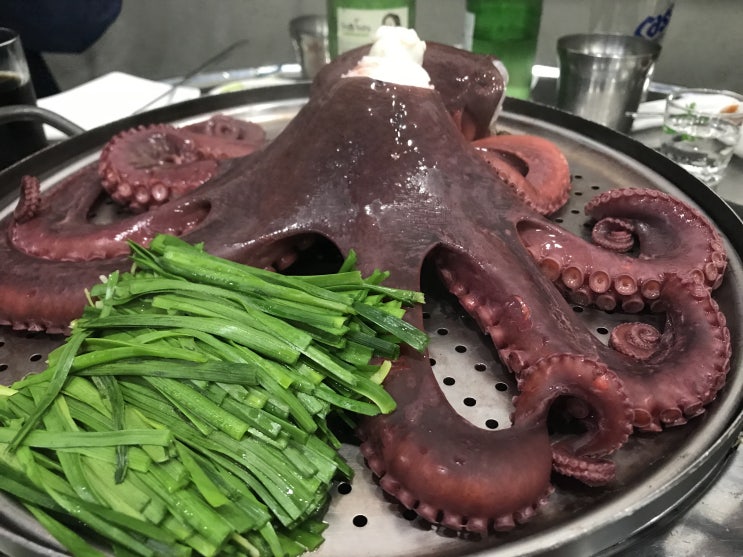  [쌍문동 맛집] 문어 조개 명가 솔직후기