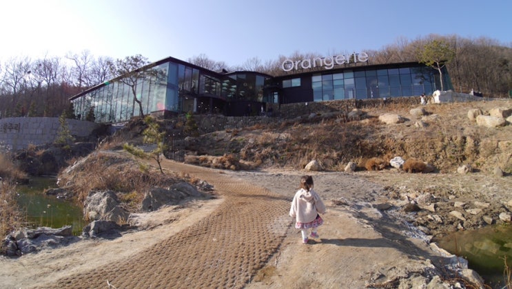  양주 식물원 카페 오랑주리 후기 with 7artisans 7.5mm f2.8