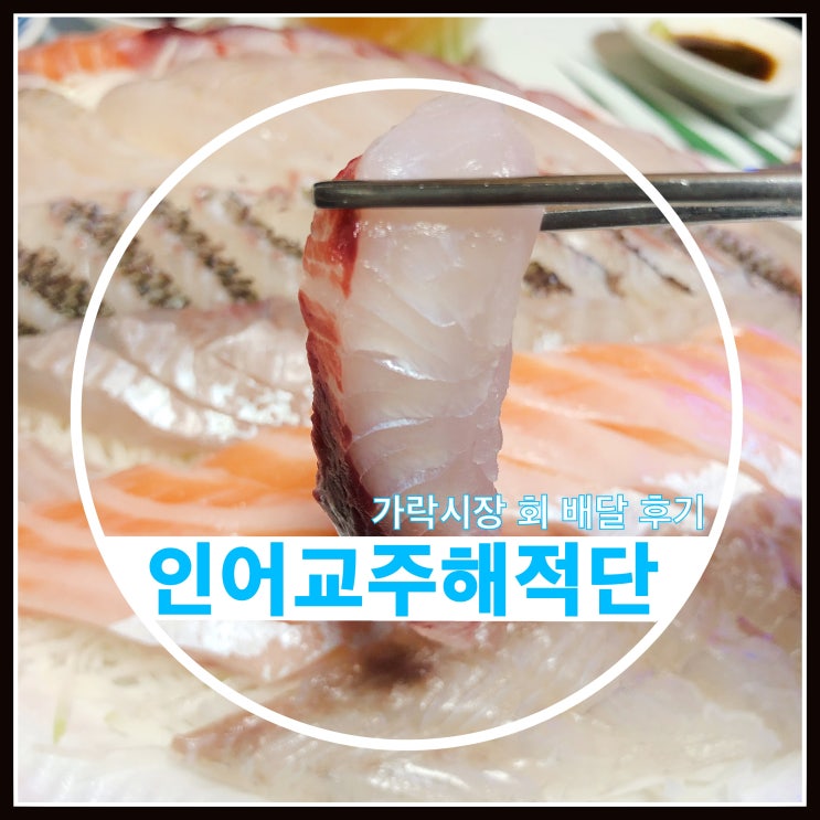 인어교주해적단 가락시장 회 배달 이용후기 인어교주해적단 가락시장 회 배달 이용후기