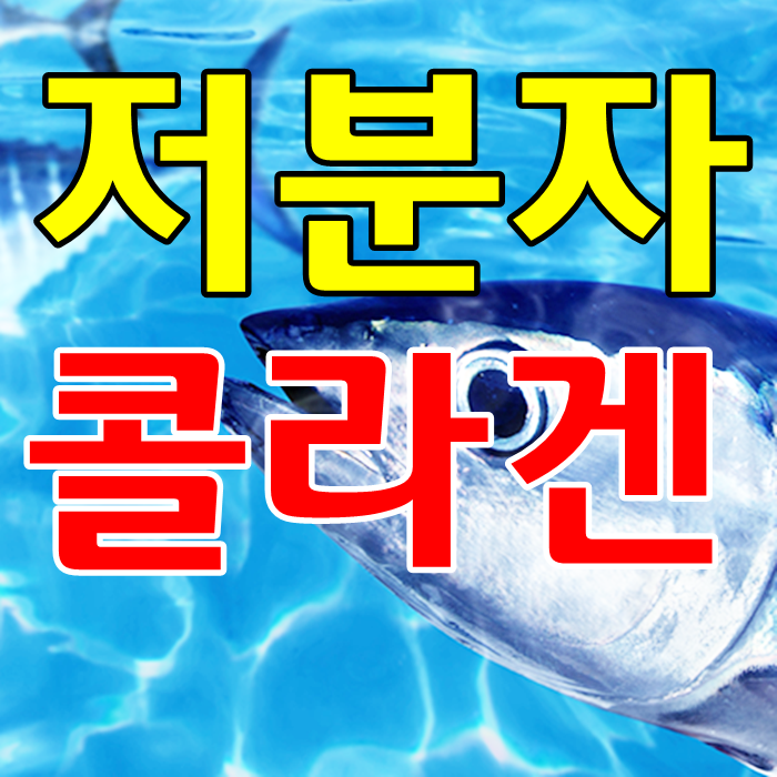 저분자콜라겐 가루 효능과 먹는법 인기많은 피쉬 먹는콜라겐 추천