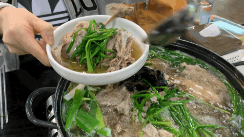  일산 풍동맛집 개성옥 능이버섯 오리백숙 후기