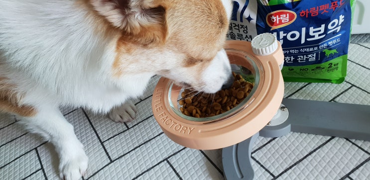  강아지 사료 관절에 좋은 밥이보약 하림펫푸드