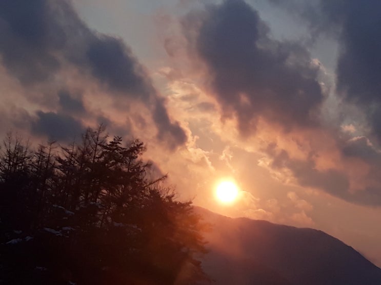  궁합과 시모..