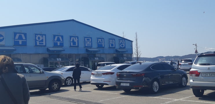 영흥도 수협 수산물 직판장 영흥도 수협 수산물 직판장
