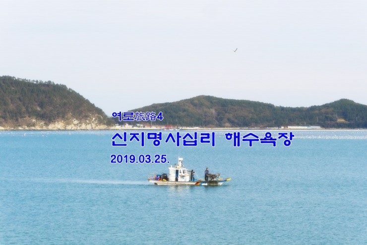  여로旅路4 - 완도 신지명사십리해수욕장  2019.03.25.