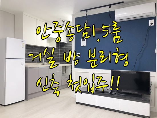  안중원룸전세 신축 첫입주 안중송담원룸전세 귀한 투베이전세 거실 분리형 구조 예쁜집