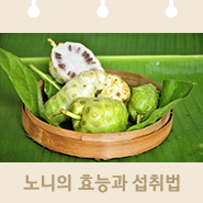  신이 주신 선물 노니의 효능, 올바른 섭취 방법과 부작용