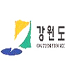  플라이강원 초기안정화 위해 중국 정기운수권 확보관건