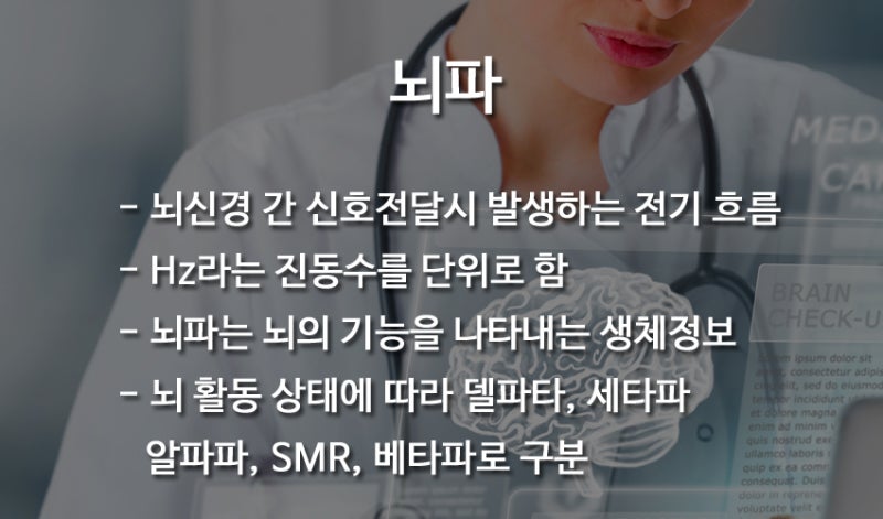 뇌파의 종류와 기능 : 네이버 블로그 뇌파의 종류와 기능 : 네이버 블로그