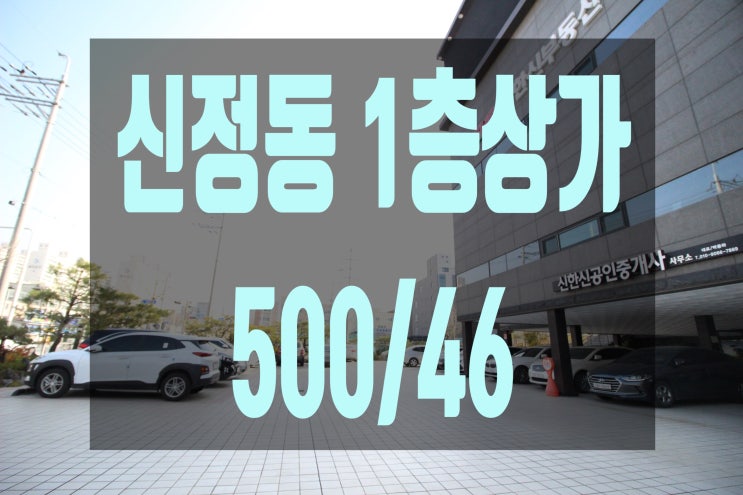  신정동 1층코너상가 미용실 하실분 500/46