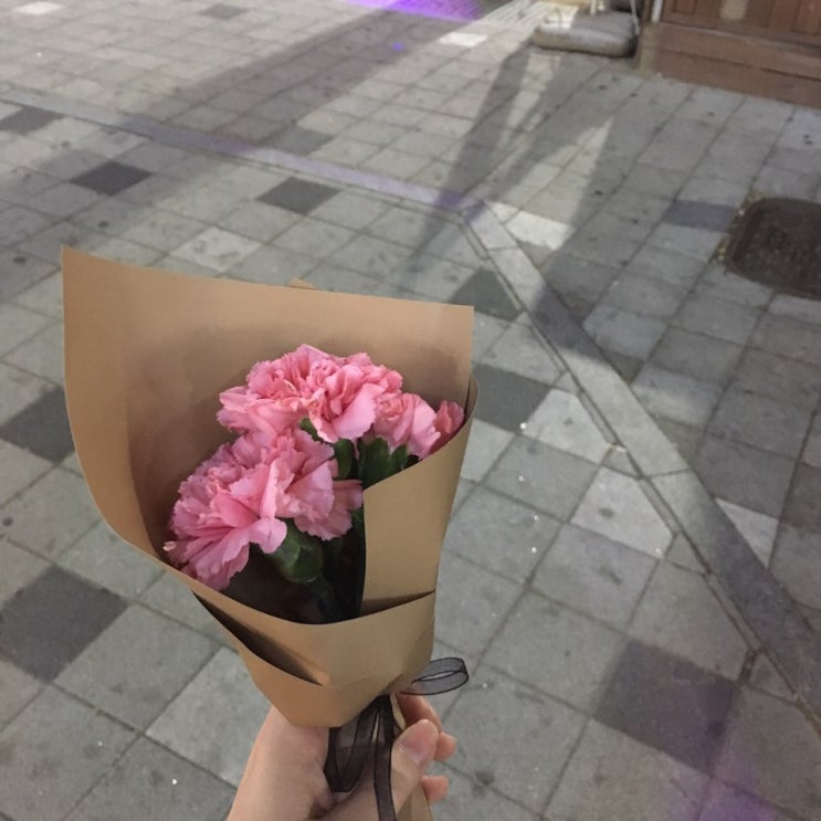  일상블로그 (190321~190401) / 나의 일상은 하누로 가득찼다  ʚ(ȉˬȉ⁎)ɞ˒˒