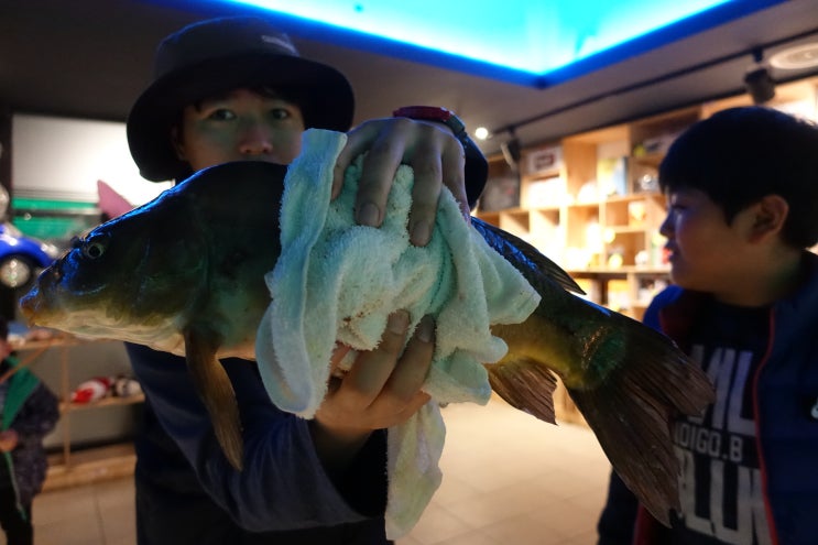  수지 실내 낚시카페 꾼, 아들 9마리!