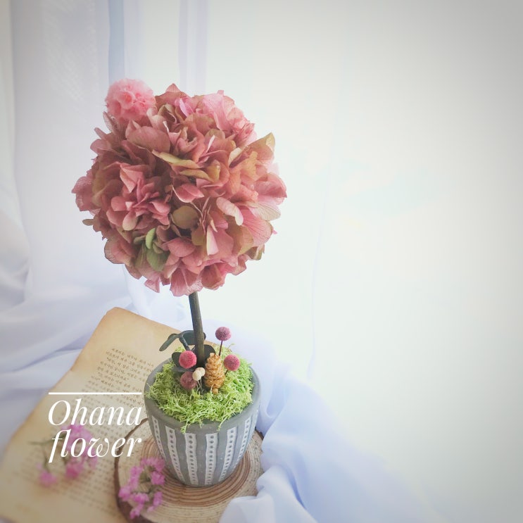  [부산프리저브드플라워] 벚꽃 사쿠라 수국토피어리 개업선물 신혼선물로 딱~시들지않는꽃 수영 광안 프리저브드플라워 전문공방 오하나플라워