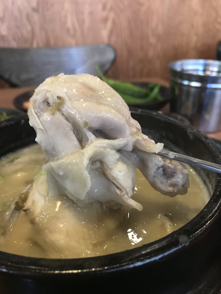  mbc오늘저녁삼계탕 역시 생각대로!