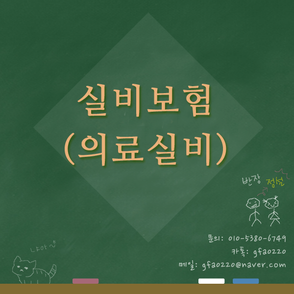  실비보험(의료실비)이란_실손의료보험