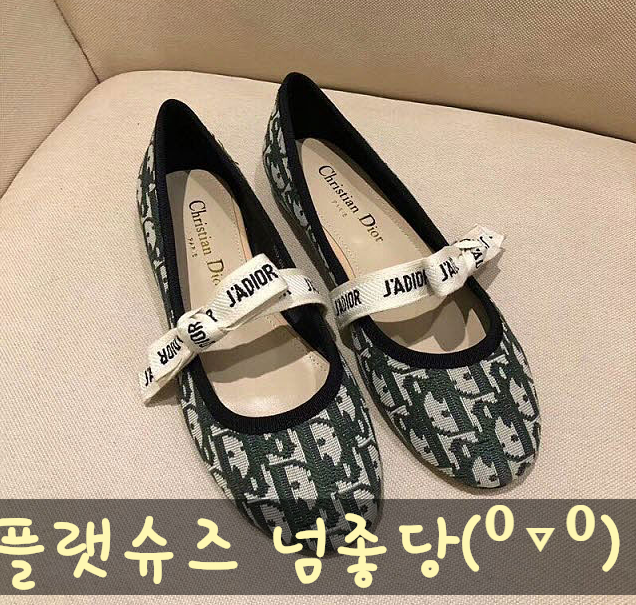  디올 발레리나 플랫슈즈 비쥬얼 뭐다?