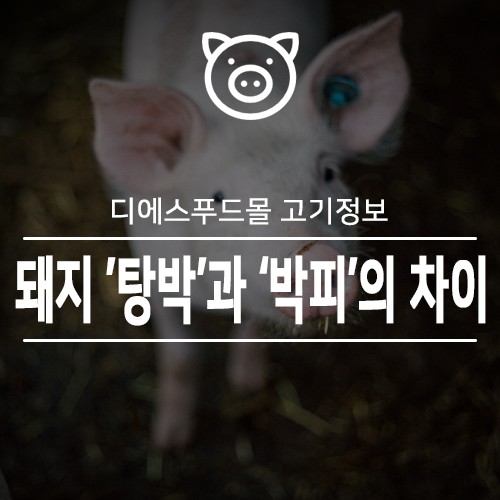 [디에스푸드몰 고기정보]돼지 '탕박'과 '박피'의 차이점