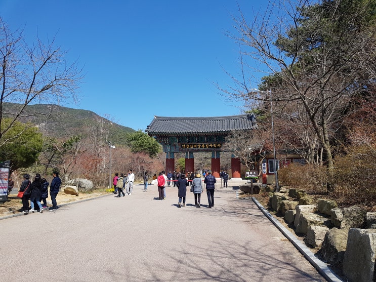  서산 수덕사. 해미읍성. 삼길포항