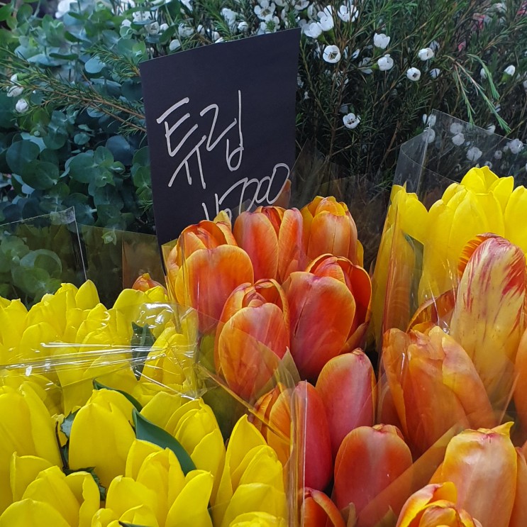 부산 꽃시장 범일동에 있는 자유꽃시장 다녀왔어요!