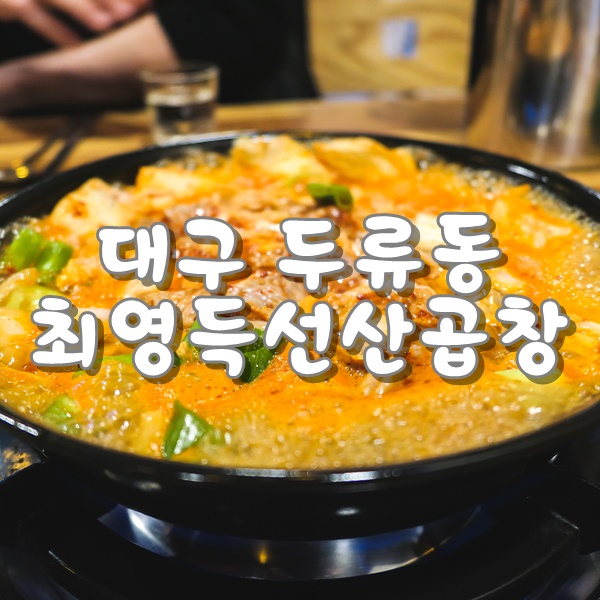 대구 광장코아 맛집 가성비 좋은 광장코아 술집 최영득 선산곱창