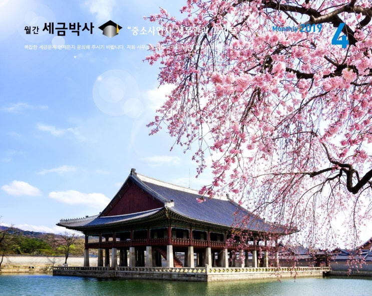  업무용 승용차 비용처리, 세무 체크포인트!