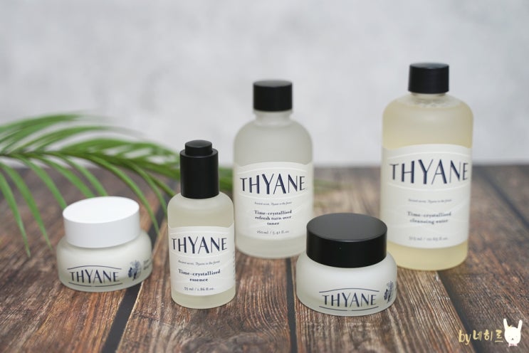 자극 없는 수분크림 띠아느 THYANE 건성수분크림 추천해요 자극 없는 수분크림 띠아느 THYANE 건성수분크림 추천해요