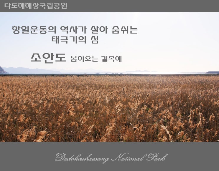  [다도해해상국립공원]  항일운동의 역사가 살아 숨쉬는 소안도  봄의 길목에 ..