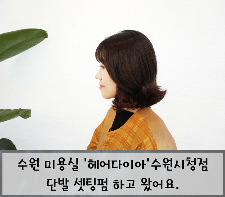  수원 미용실 '헤어다이아' 수원시청점 청아 쌤 : 단발 셋팅펌 하고 왔어요.