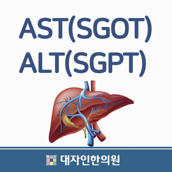 AST(SGOT), ALT(SGPT) 정상수치 : 네이버 블로그
