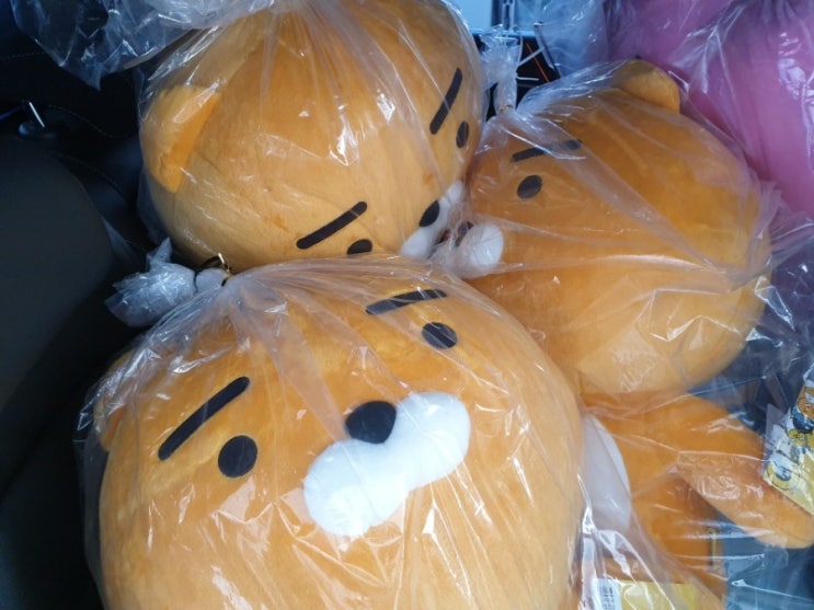  라이언인형 대형인형뽑기~ 득템~! 인형뽑기 팁!