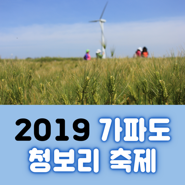  가파도 청보리 축제 2019 기간 및 축제 즐기기!