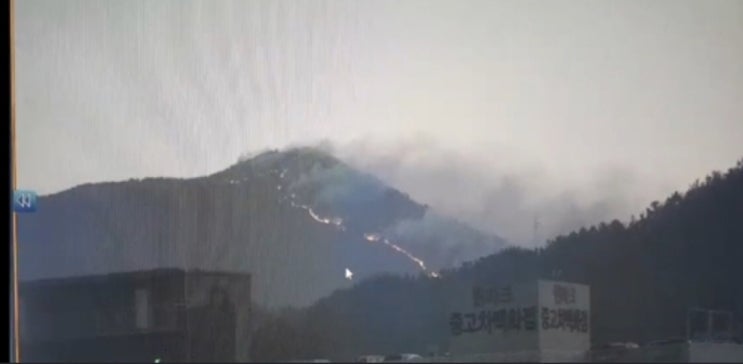 '13ha 잿더미' 해운대 산불 밤새 기세등등…헬기 진화작업 재개