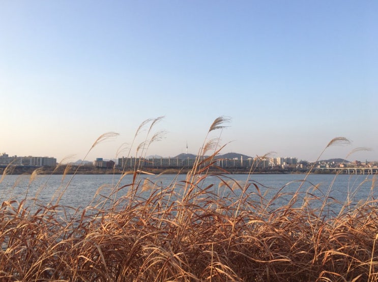  【한강】 반포한강공원 산책