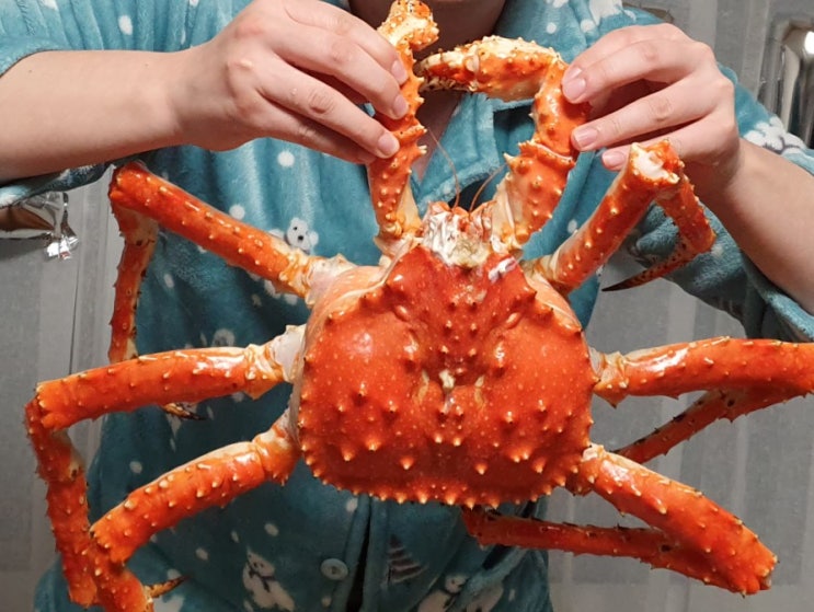  이마트 킹크랩 시세, 쪄와서 볶음밥 까지 클리어 !