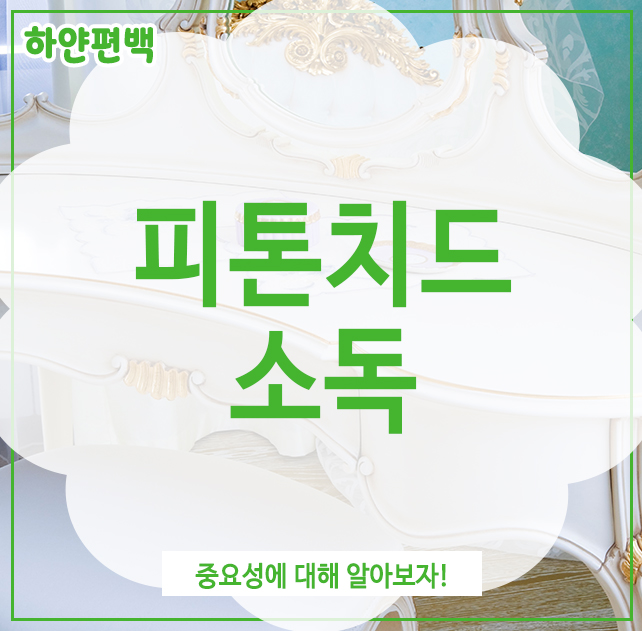  피톤치드 소독, 중요성에 대해 알아보자!
