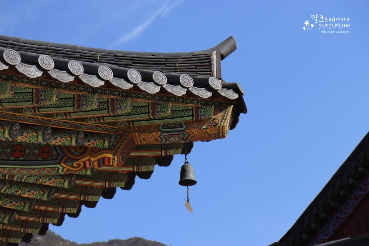  합천 해인사 팔만대장경 아이와 꼭 한번 봐야할 문화유산