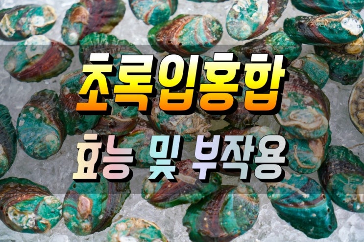  관절염에 도움을 주는 초록입 홍합 효능과 섭취방법