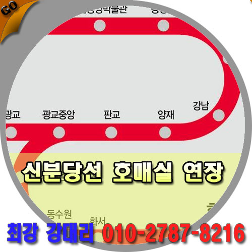  신분당선 호매실 연장 사업 남부(13편)