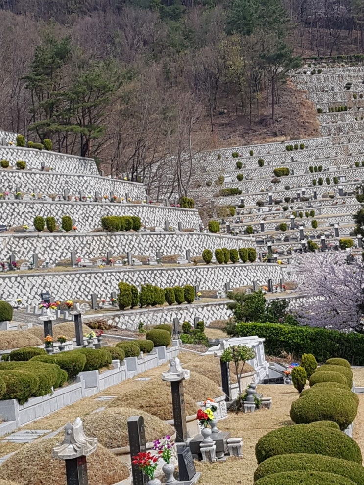  #오규석 #기장군수 가 #증언 한 #실로암공원묘원 #유착 정치압력자들