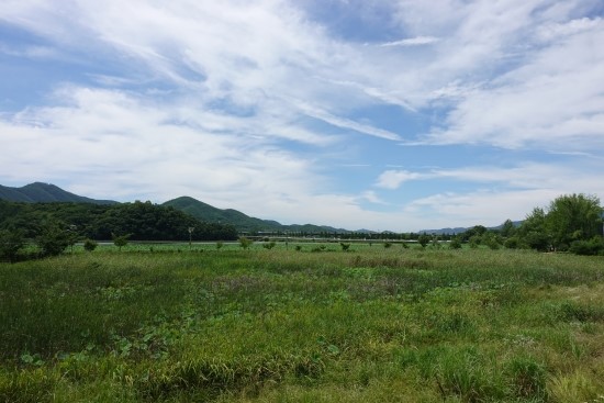  역류성식도염증상과 갱년기가 함께 찾아올때 치료