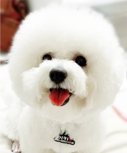 비촌뷰티프라이스 하이바&귀뚝투 서대문 향동동