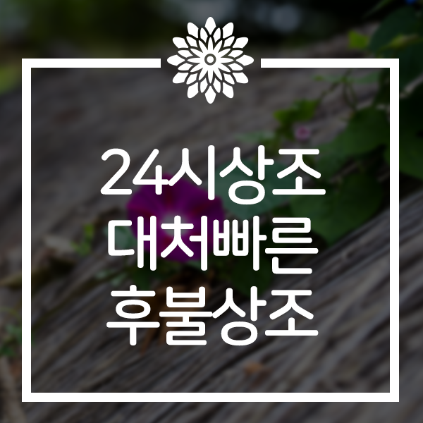  24시상조 긴급장례 대처빠른 후불식상조