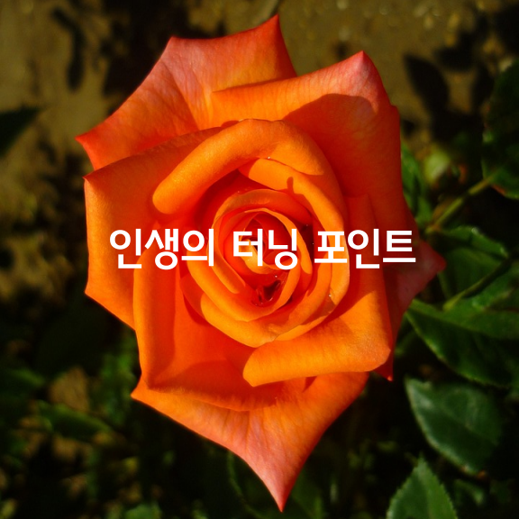  인생의 터닝 포인트 잡는 9가지